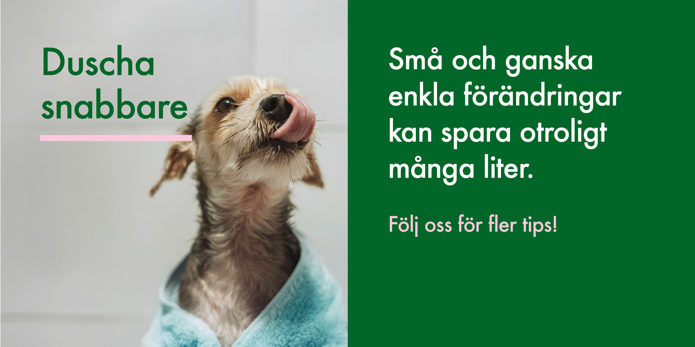 Text: Duscha snabbare. Små och ganka enkla förändringar kan spara otroligt många liter. Bild på hund i handduk.